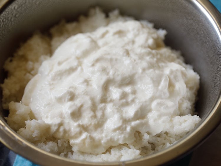 fresh curd added to cooked mashed rice.