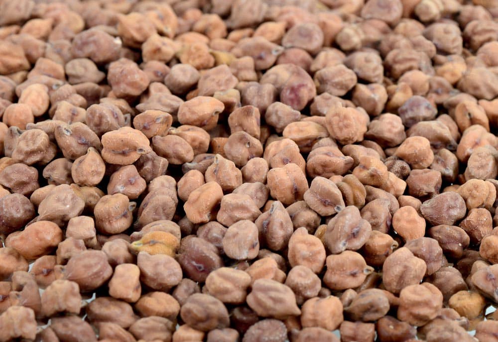 close up shot of kala chana or brown chickpeas.
