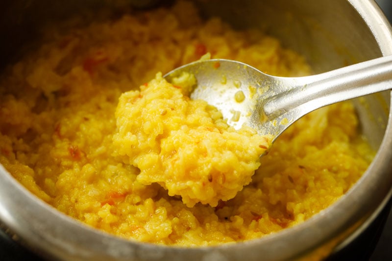 khichdi consistency being shown with a spoon
