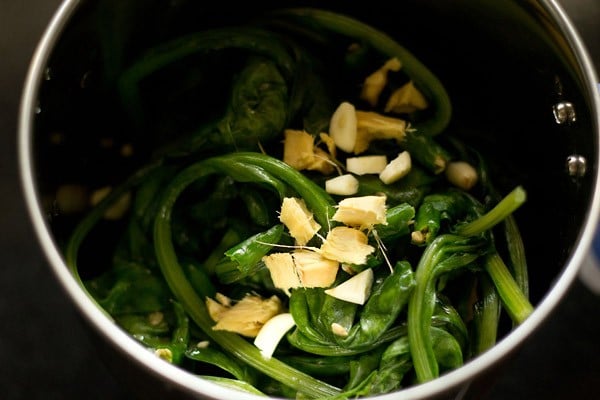 spinach leaves, garlic, ginger and green chillies added in a blender