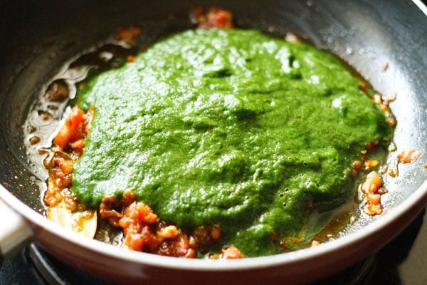 adding spinach puree in the pan to make palak paneer recipe