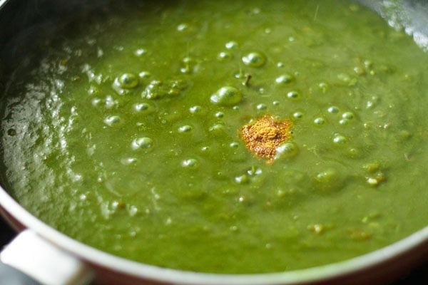 added garam masala powder to the spinach sauce