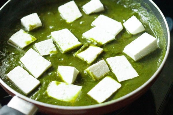 paneer cubes added to palak gravy
