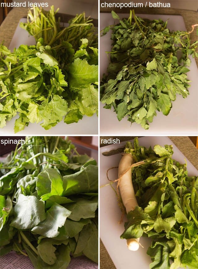 collage photo of mustard, bathua (also known as chenopodium in english), spinach, radish and fenugreek leaves.