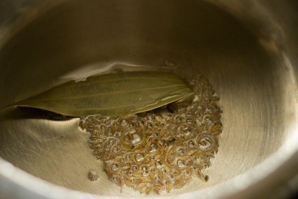 spices frying in oil